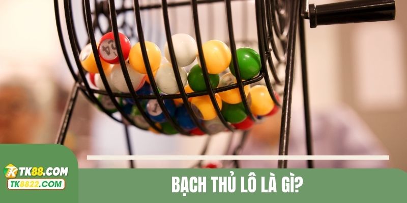 bạch thủ lô là gì
