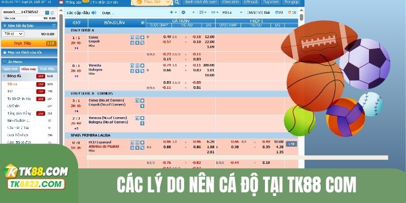 Các lý do nên cá độ tại TK88 COM