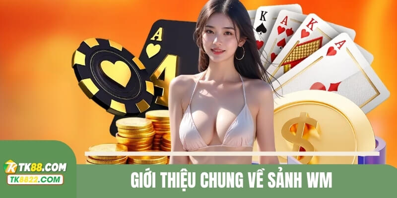 Giới thiệu chung về sân chơi WM