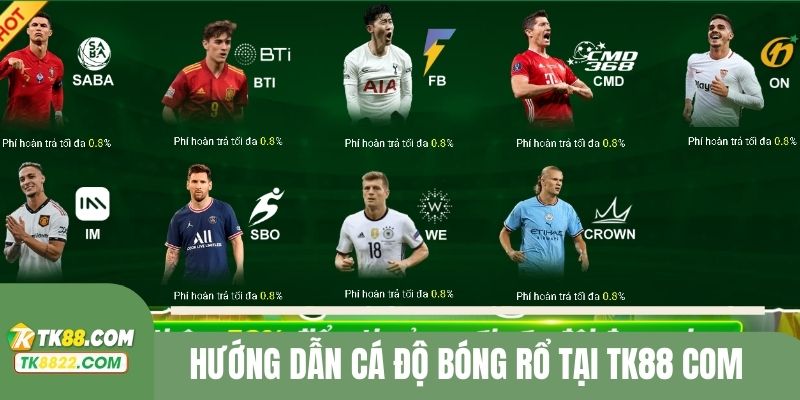 Hướng dẫn cá độ bóng rổ tại TK88 COM