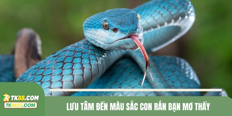 Lưu tâm đến màu sắc con rắn bạn mơ thấy