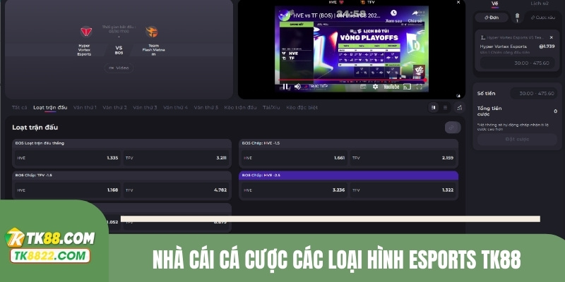 Nhà cái cá cược các loại hình eSports TK88