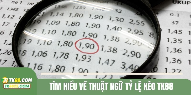 Tìm hiểu về thuật ngữ tỷ lệ kèo TK88